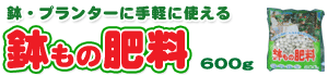 ̔엿