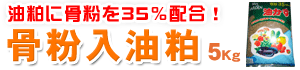 5kg