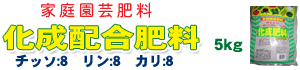 z엿