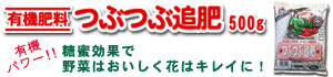 ԂԒǔ500g
